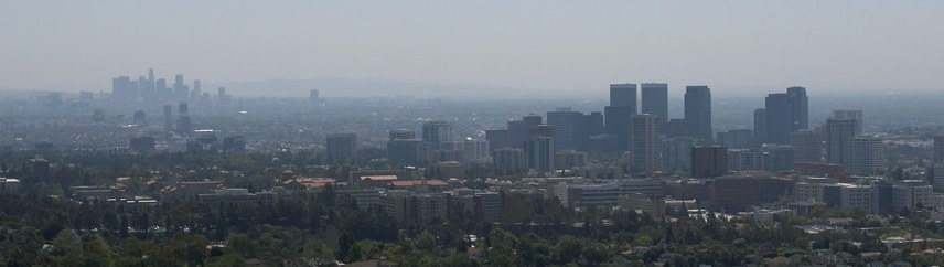 losangels_img_856x242